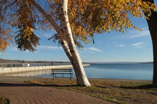 A serene lakeside scene with autumn trees, a bench, and a clear blue sky reflecting on the water.
