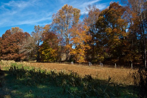 A scenic landscape featuring autumn trees and a field, with blue skies and wispy clouds above.