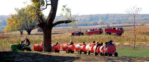 A tractor pulls a train of children in colorful barrels through a scenic field with trees and autumn foliage.