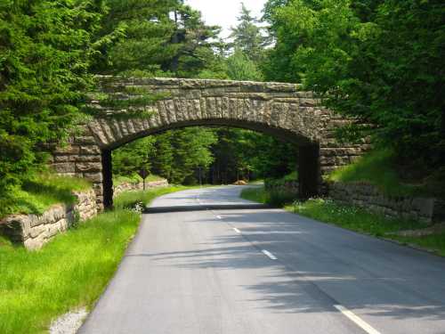 A stone arch bridge spans a quiet road, surrounded by lush green trees and grass.