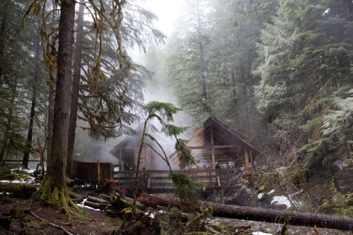 A misty forest scene with two rustic cabins surrounded by tall trees and fallen logs.