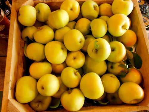 A wooden crate filled with numerous yellow apples, some with green leaves.