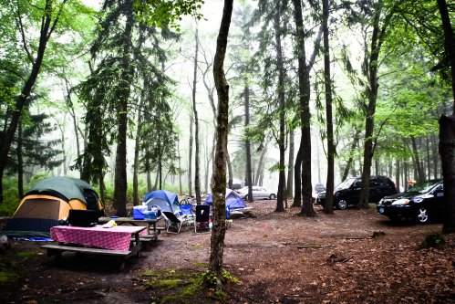A misty campsite with tents, picnic table, and parked cars surrounded by tall trees.