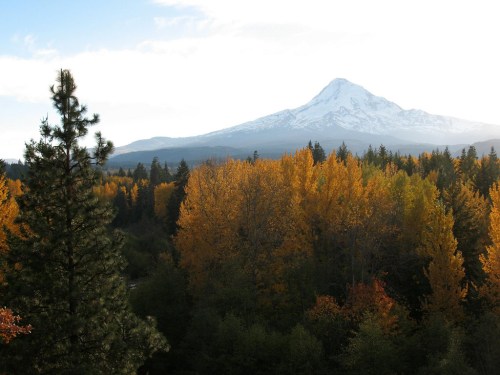 A snow-capped mountain rises above a forest of vibrant autumn trees under a bright sky.