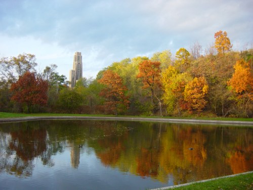 A serene park scene with colorful autumn trees reflecting in a pond, with a tall building in the background.