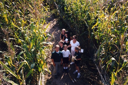 A group of six people stands in a corn maze, surrounded by tall corn stalks on a sunny day.