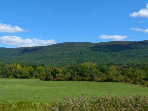 A lush green landscape with rolling hills under a bright blue sky and scattered clouds.