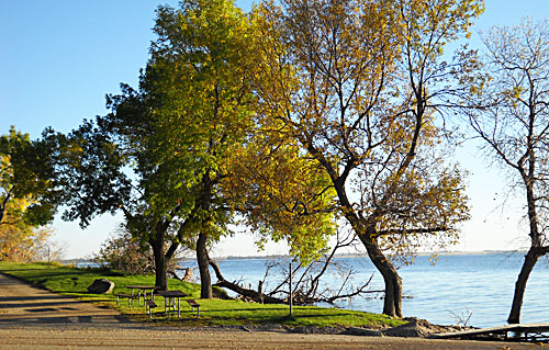 A serene lakeside scene with trees in autumn colors and a grassy area, featuring a bench along the water's edge.