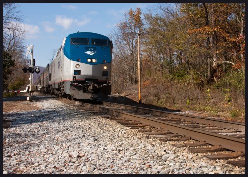 An Amtrak train approaches a railway crossing surrounded by trees and gravel tracks on a clear day.