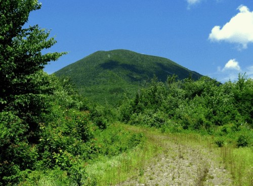 A lush green landscape with a dirt path leading to a prominent mountain under a clear blue sky with a few clouds.