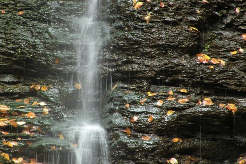 A small waterfall cascading over dark rocks, surrounded by scattered autumn leaves.