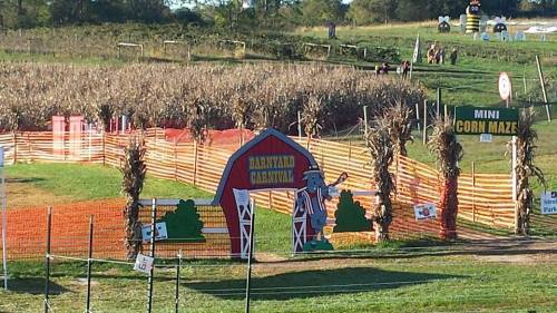 A colorful entrance to a barnyard carnival, surrounded by cornfields and festive decorations.