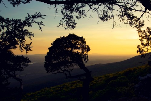 Silhouette of trees against a sunset sky, with rolling hills and valleys in the background.