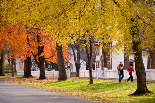 Two people walk along a tree-lined path with vibrant autumn foliage in shades of yellow and orange.