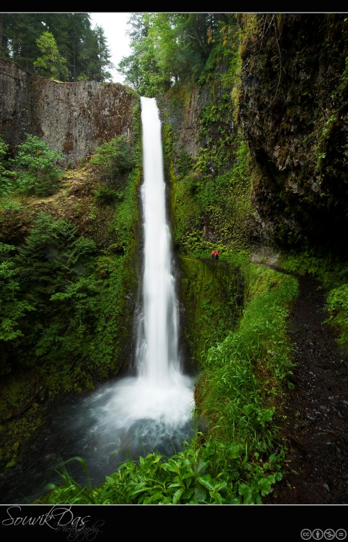 A tall waterfall cascades into a lush green gorge, surrounded by moss-covered rocks and trees. A small figure stands nearby.