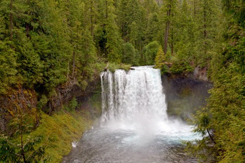 A serene waterfall cascades into a clear pool, surrounded by lush green trees and vibrant foliage.