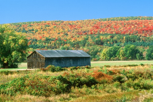 A rustic barn stands in a vibrant landscape of autumn foliage and rolling hills under a clear blue sky.