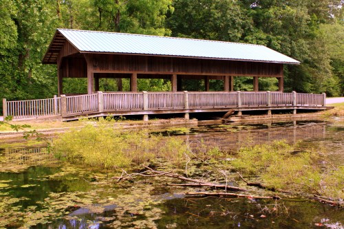 A wooden pavilion with a metal roof overlooks a pond covered in lily pads and surrounded by trees.