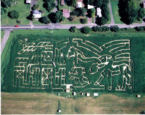 Aerial view of a corn maze featuring farm-themed designs, including a barn, horses, and farm animals.