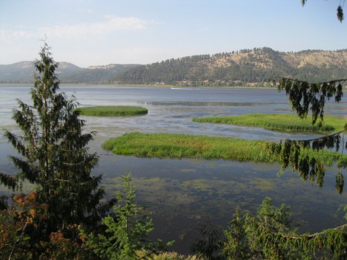 A serene lake surrounded by green islands and trees, with mountains in the background under a clear blue sky.