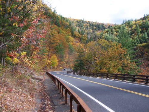 A winding road surrounded by vibrant autumn foliage and trees on a hillside.