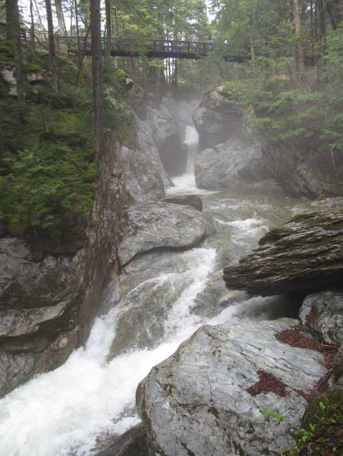 A rushing river flows through rocky terrain, surrounded by lush green trees and mist in a serene forest setting.