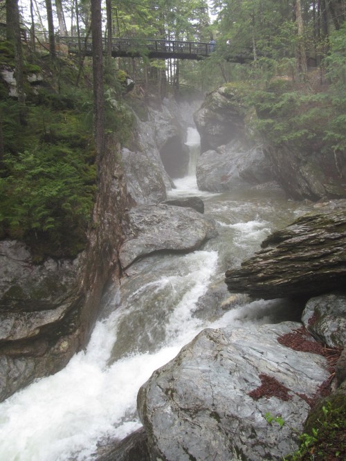 A rushing river flows through rocky terrain, surrounded by lush green trees and mist in a serene forest setting.