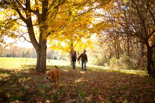 A couple walks hand in hand through a sunlit, autumn forest with vibrant yellow leaves, while a dog runs nearby.