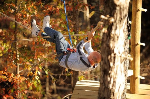 A person in a harness swings from a rope between trees in a forested area with autumn foliage.
