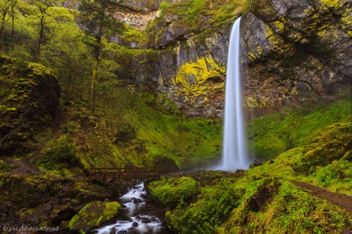 A stunning waterfall cascades down a rocky cliff, surrounded by lush green foliage and a serene stream below.