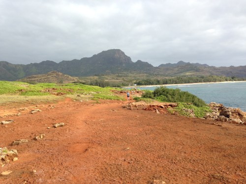 A scenic coastal landscape featuring red earth, green vegetation, and mountains under a cloudy sky.