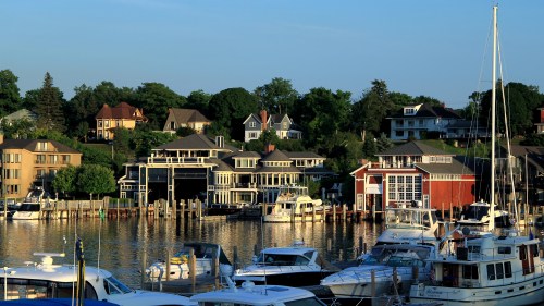 A serene marina with boats docked, surrounded by charming homes and lush greenery under a clear blue sky.