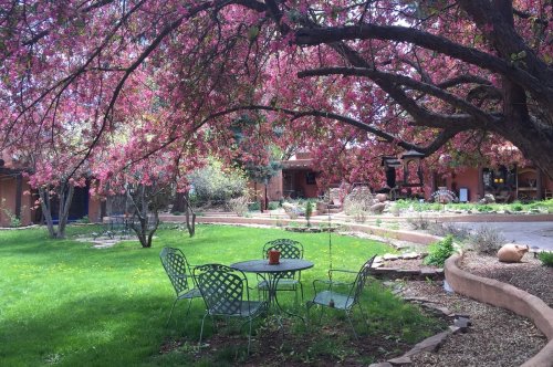 A serene garden with a pink flowering tree, green chairs, and a table, surrounded by lush grass and pathways.