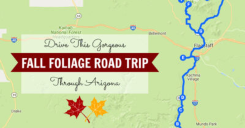 Map highlighting a fall foliage road trip route through Arizona, featuring scenic stops and autumn leaves.