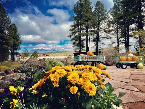 Vibrant yellow flowers in the foreground with green wagons and pumpkins against a backdrop of trees and a cloudy sky.