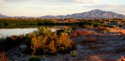 A serene landscape featuring a river, lush vegetation, and distant mountains under a colorful sky.