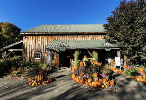 A rustic wooden building with a green roof, surrounded by colorful pumpkins and flowers in autumn.