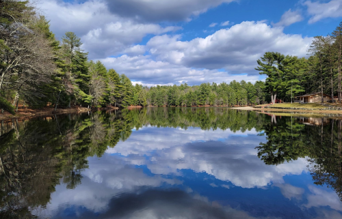 A serene lake reflecting trees and clouds under a blue sky, surrounded by lush greenery.