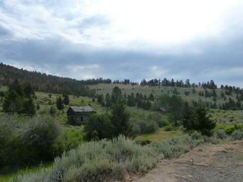 A scenic landscape featuring a grassy field, scattered trees, and an old wooden cabin under a cloudy sky.