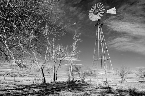 A black and white image of a windmill beside bare trees against a cloudy sky.