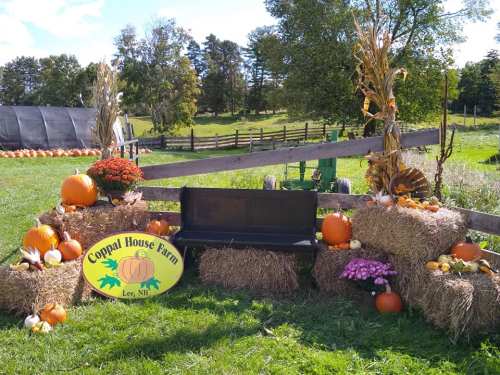 A fall-themed display at Coppal House Farm with pumpkins, hay bales, and colorful flowers in a scenic outdoor setting.