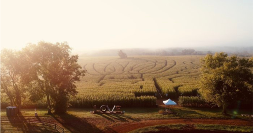 Aerial view of a corn maze surrounded by trees, with a tent and equipment in the foreground under a hazy sky.
