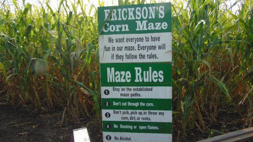 Sign at a corn maze listing rules: stay on paths, no cutting through, no picking corn, and no alcohol allowed.