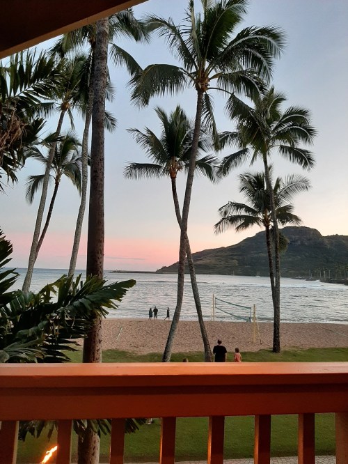A serene beach scene at sunset, framed by palm trees, with people walking along the shore and a volleyball net in the sand.