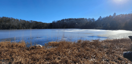 A serene winter scene of a frozen lake surrounded by trees and dry grass under a clear blue sky.