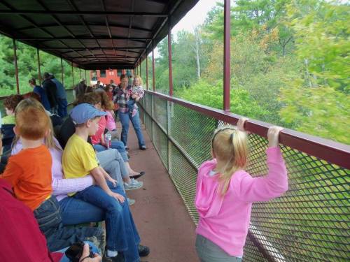 A group of people, including children, enjoy a scenic train ride, looking out at the greenery through a mesh railing.