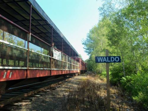 A train car on tracks beside a sign reading "Waldo," surrounded by greenery and trees.