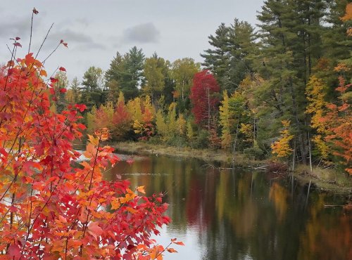 A serene lake surrounded by vibrant autumn foliage in shades of red, orange, and yellow, reflecting on the water.