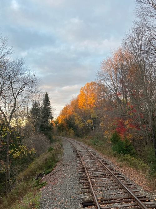 A winding railway track surrounded by trees displaying autumn colors under a cloudy sky.