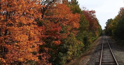 A scenic view of a railway track lined with vibrant autumn trees in shades of orange and red.